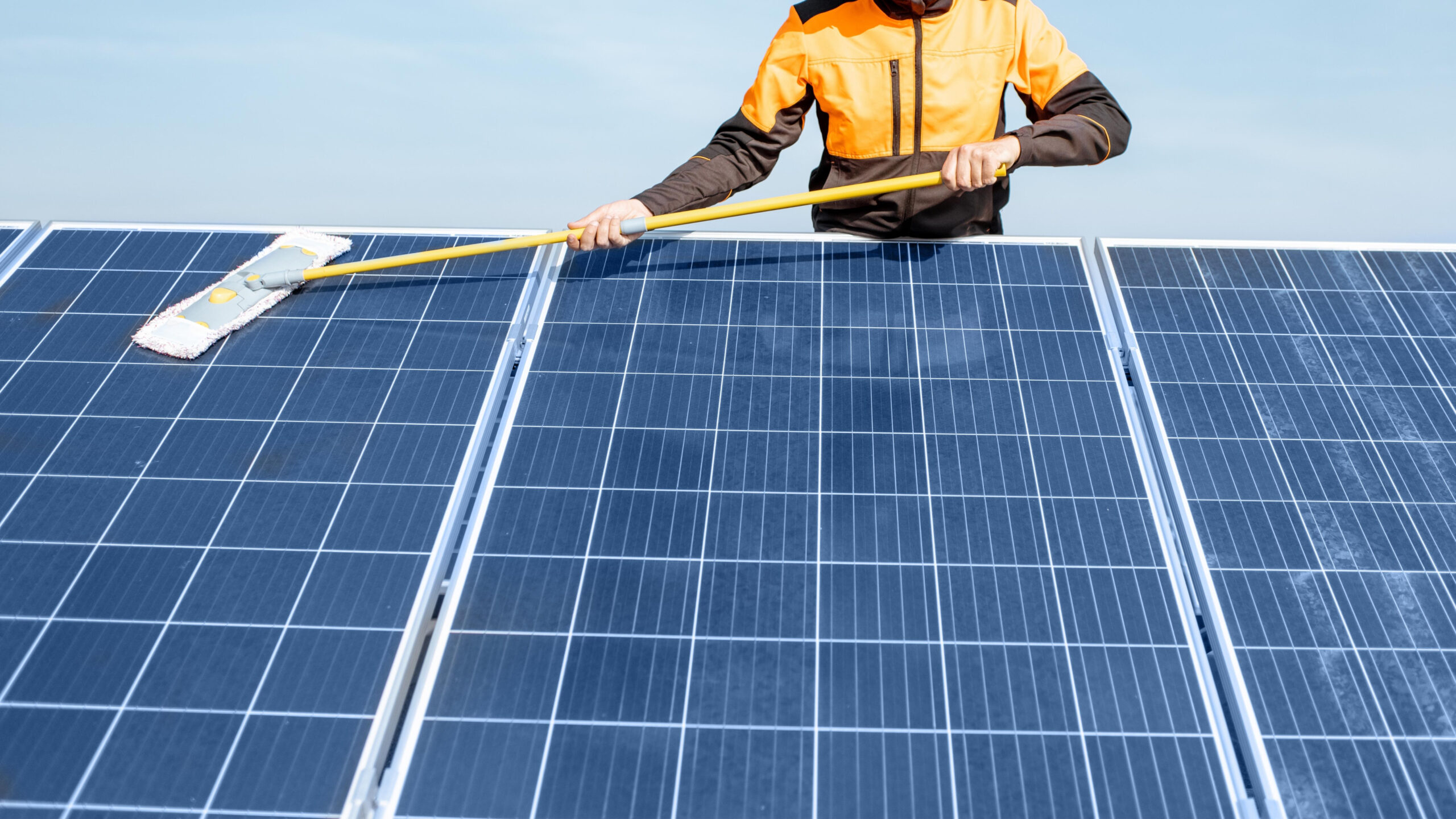solar-panel-photovoltaic-renewable-2024-11-25-03-40-00-utc